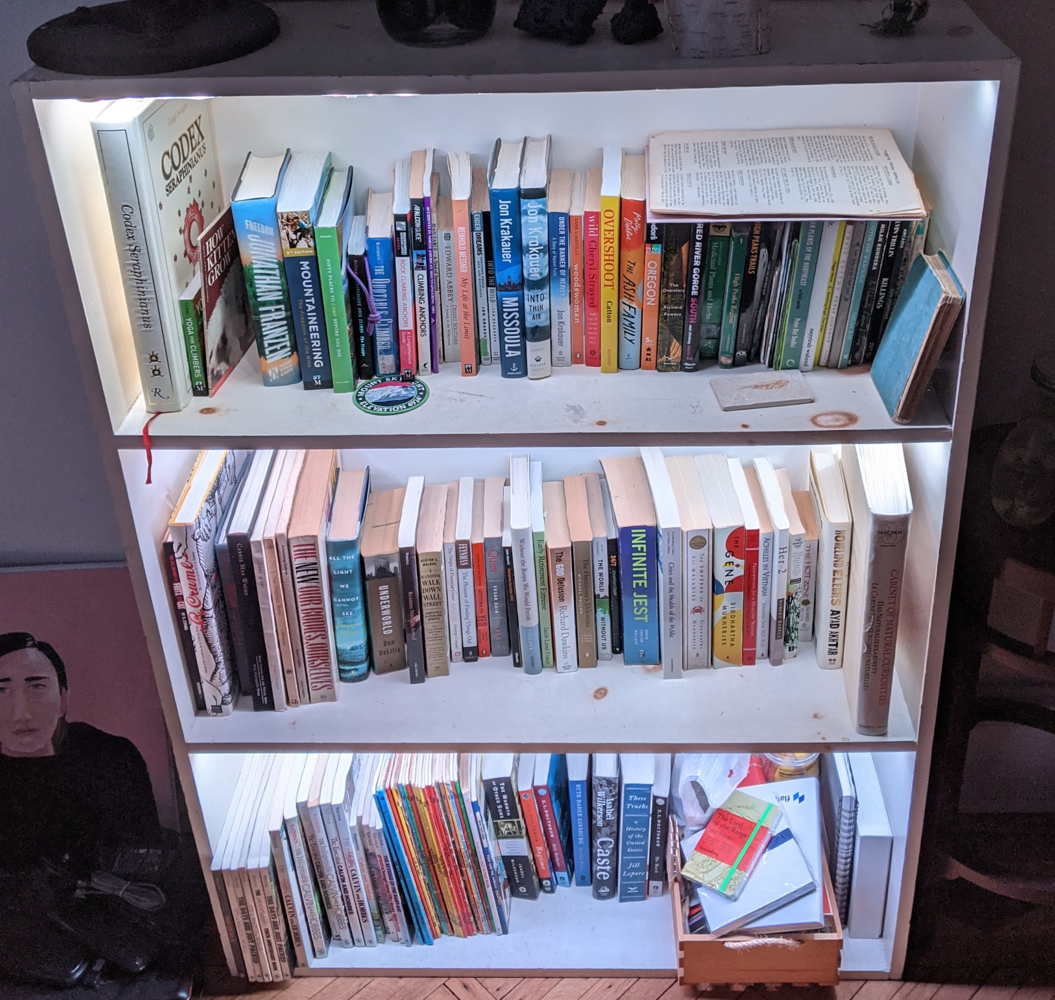 Illuminated Shelf